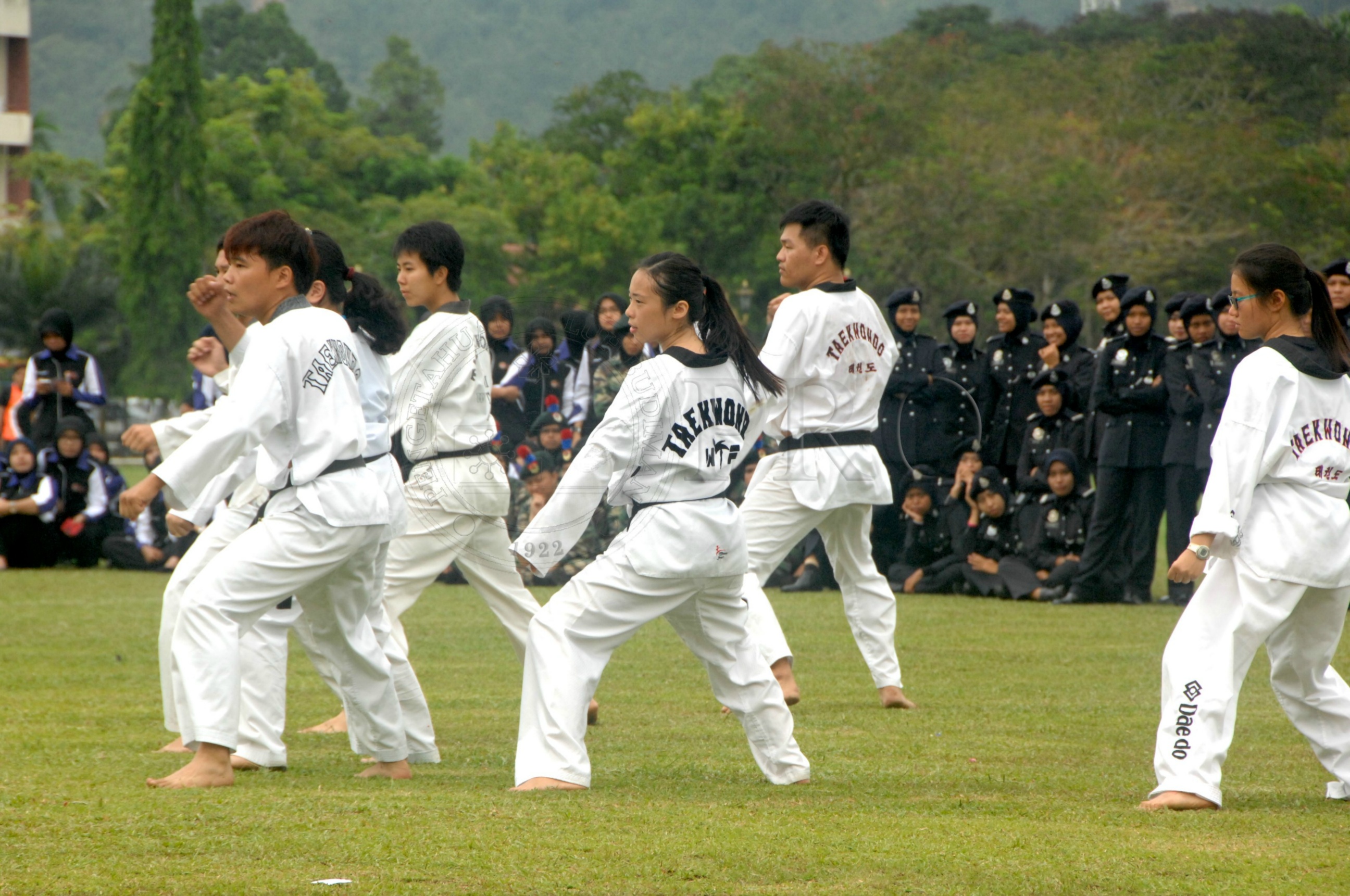 PRO 14 43 KKO IDA 1004